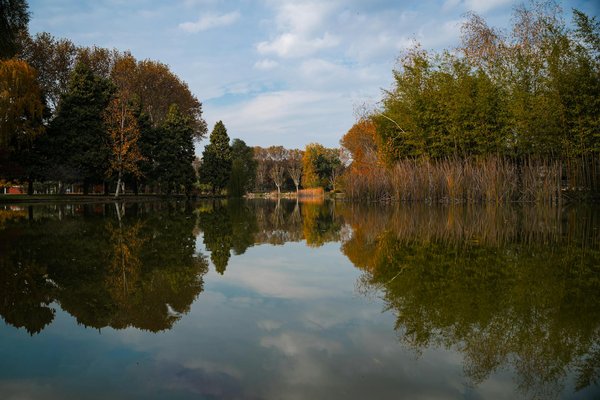 Découvrez comment l'infusion équilibre féminin peut réguler vos cycles