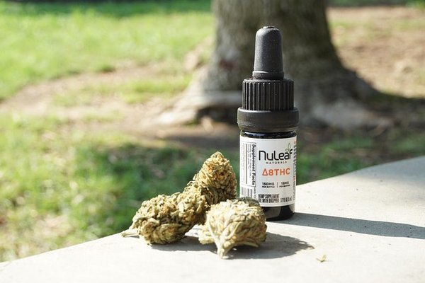Gorilla glue chanvre : avantages et saveurs d'une fleur unique